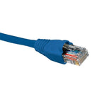 Patch Cord NEXXT 7FT CAT-6 AZ